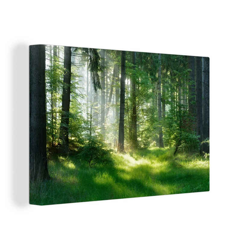 OneMillionCanvasses® Leinwandbild »Natur - Bäume - Wald - Grün - Sonne - Gras - Pflanzen«, (1 St), Bild auf Leinwand Wandbild Leinwandbilder Wanddekoration Kunstdruck
