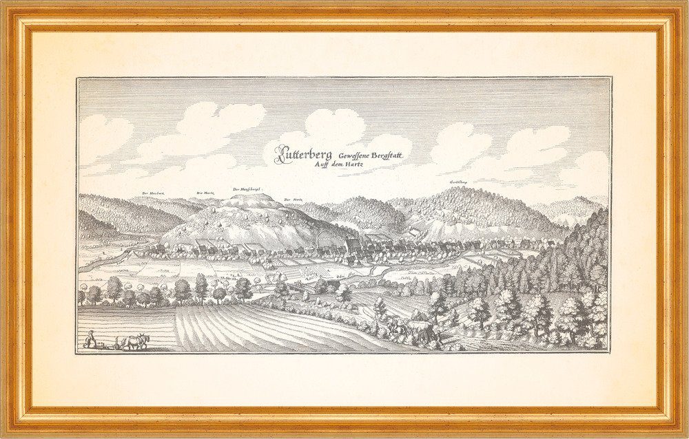 Kunstdruck Lutterberg gewesene Berstatt auf dem Harz Oder Kupferstich Merian 0499