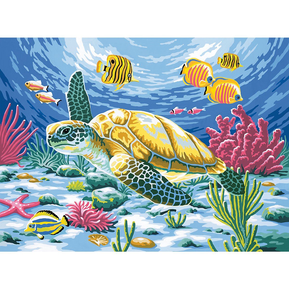 MAMMUT Spiel und Geschenk Malen nach Zahlen »Malen nach Zahlen ab 8  Seeschildkröte« online kaufen | OTTO