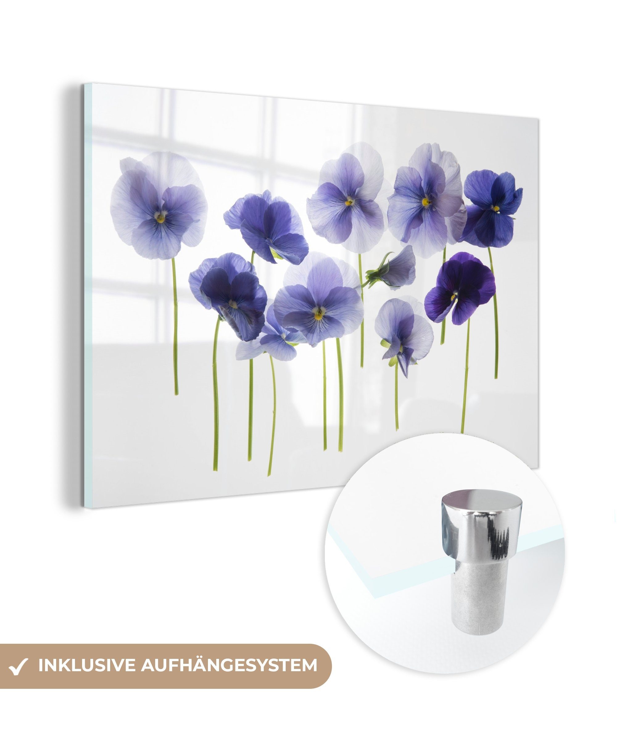 (1 Acrylglasbilder Schlafzimmer & Geigen Lila Lichtkasten, einem Acrylglasbild St), MuchoWow Wohnzimmer auf