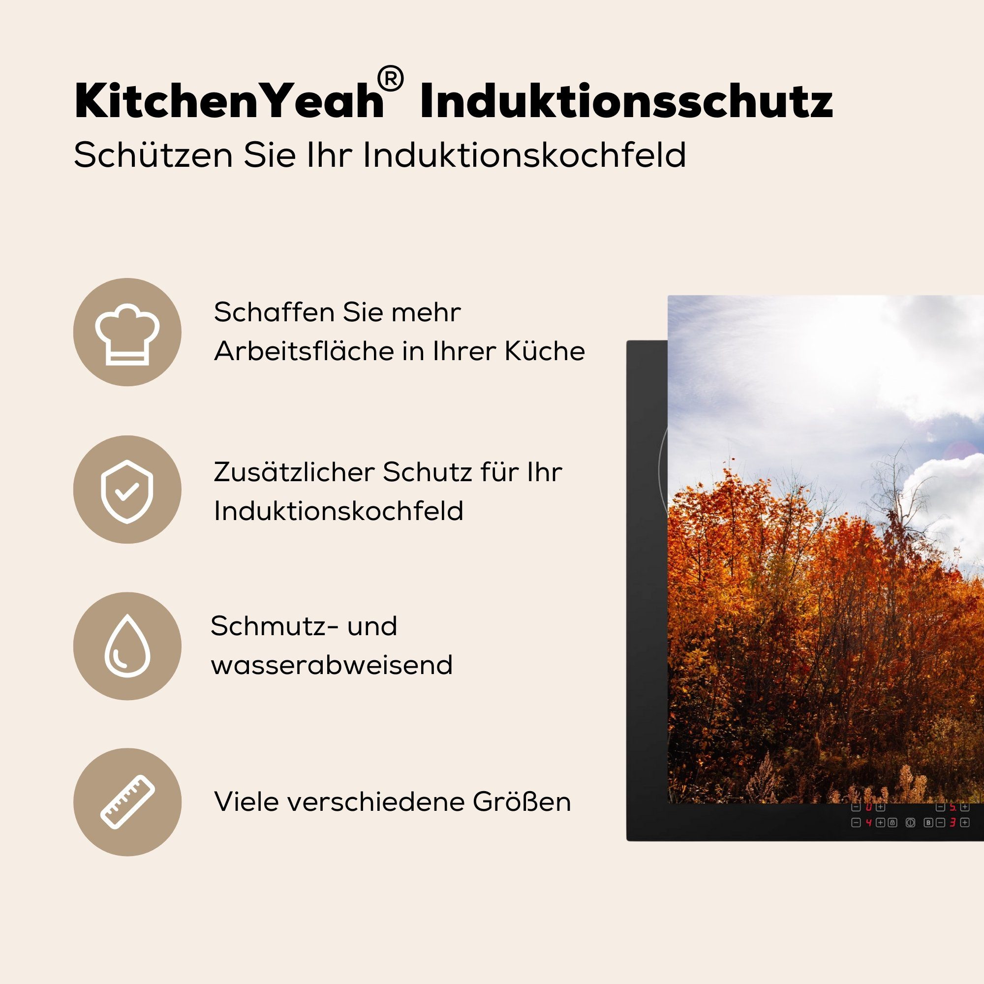 MuchoWow Herdblende-/Abdeckplatte Baum - Weg Induktionskochfeld (1 Herbst, Schutz Vinyl, die küche, für 81x52 cm, Ceranfeldabdeckung tlg), 