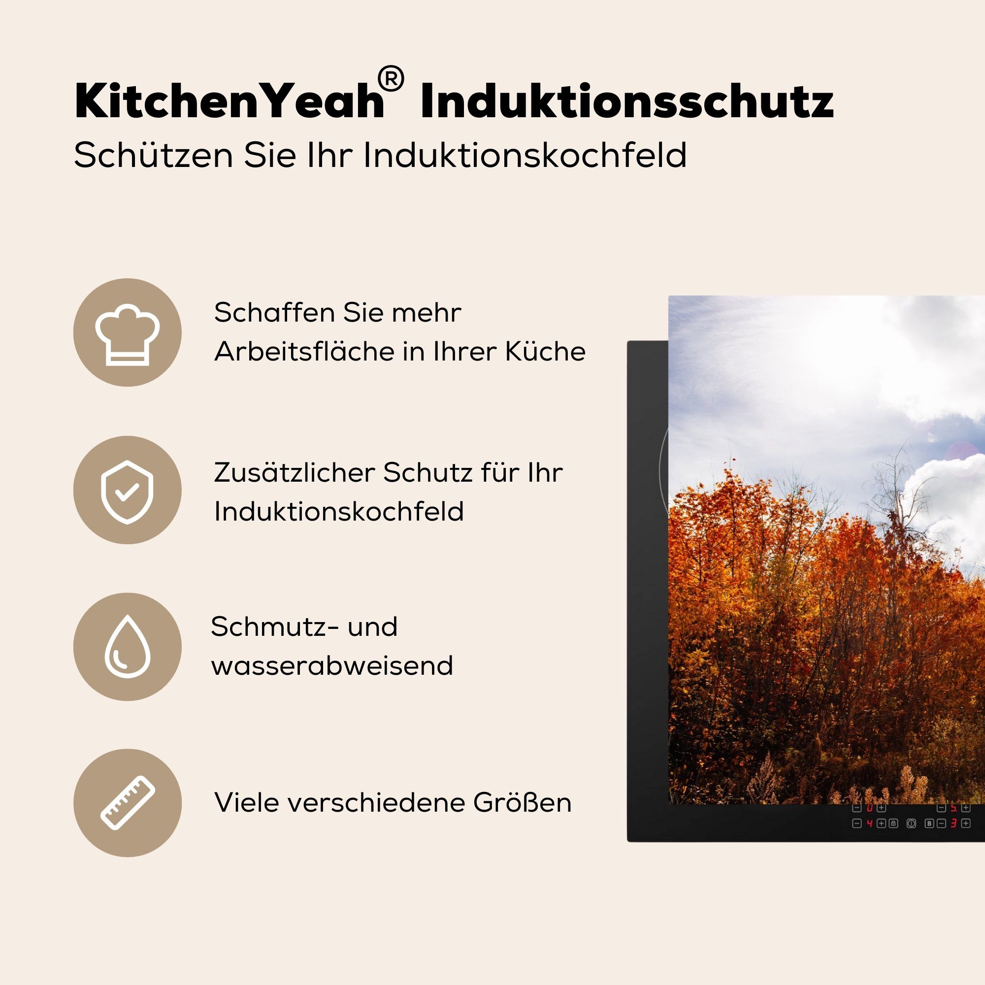 Baum Ceranfeldabdeckung - (1 für Schutz die cm, - Herbst, Induktionskochfeld 81x52 MuchoWow Vinyl, küche, Weg tlg), Herdblende-/Abdeckplatte