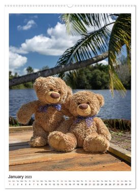 CALVENDO Wandkalender Travelling Teddy Cuba Edition 2023 (Premium-Calendar 2023 DIN A2 Portrait)