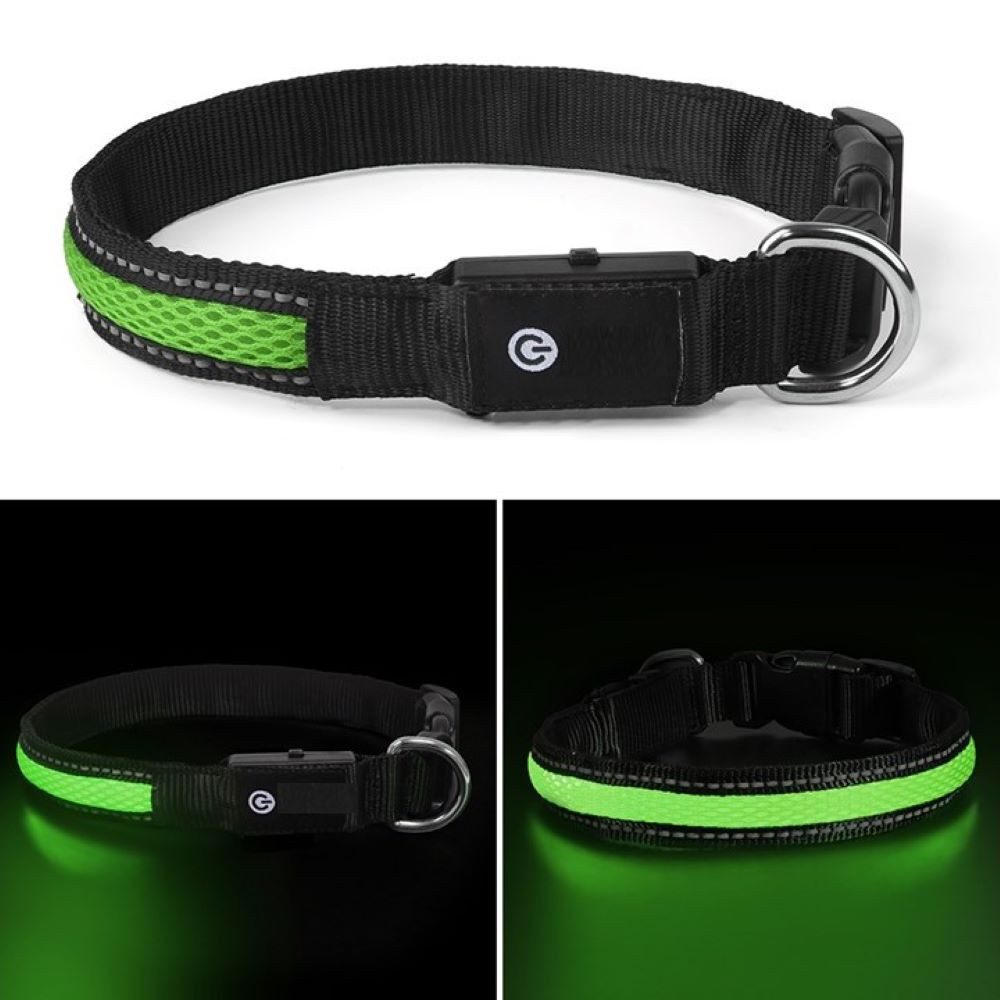 Illes-Laedchen Hunde-Halsband LED Hundehalsband Blinklicht wasserdicht wied günstig online kaufen