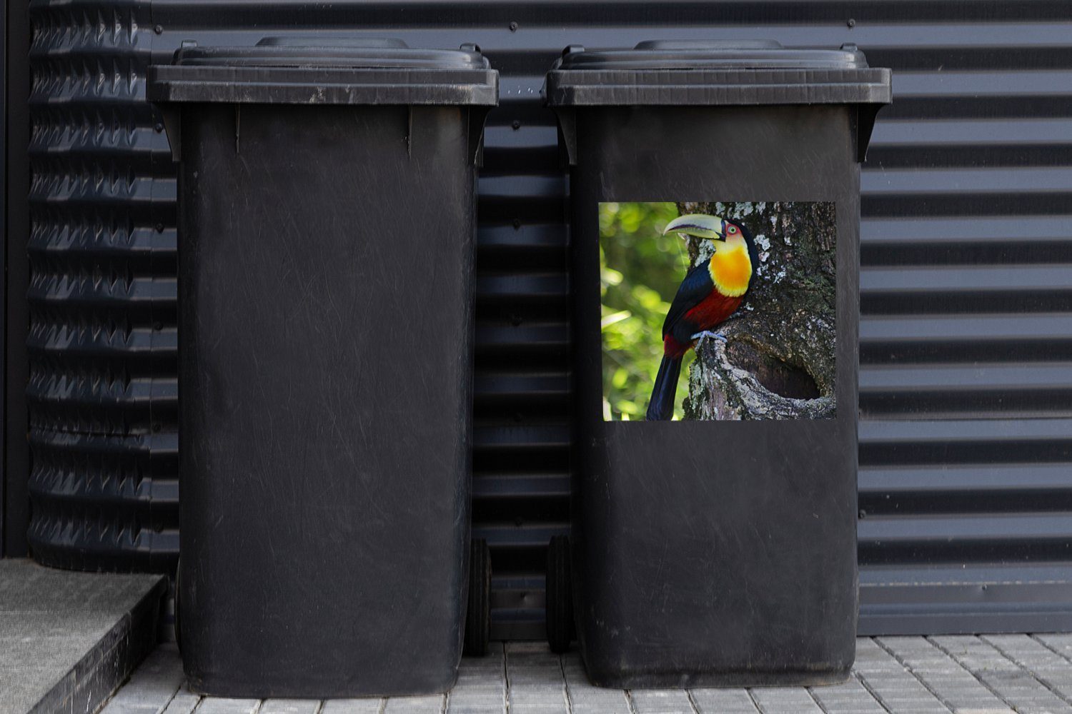 nach Mülltonne, Tukan schaut Baum Abfalbehälter (1 St), von Wandsticker einem Sticker, links Schöner MuchoWow aus Container, Mülleimer-aufkleber,