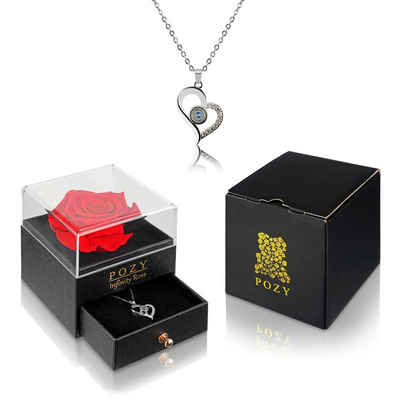 POZY® Collier »echte konservierte Infinity Rose mit Halskette und edler Geschenkbox«