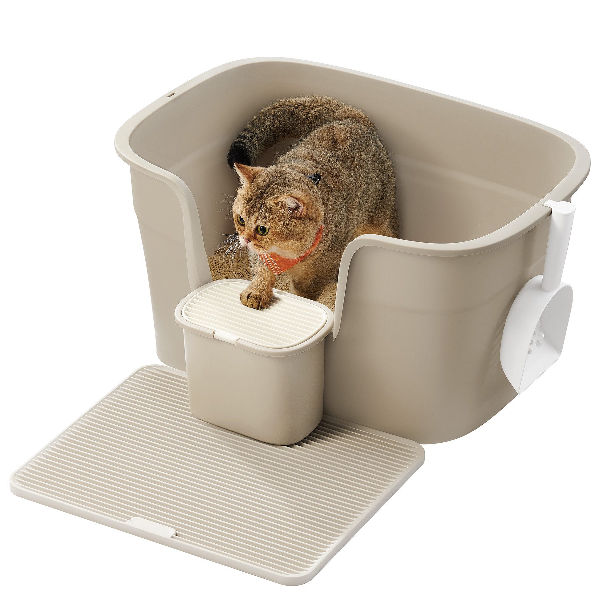 Katzentoilette