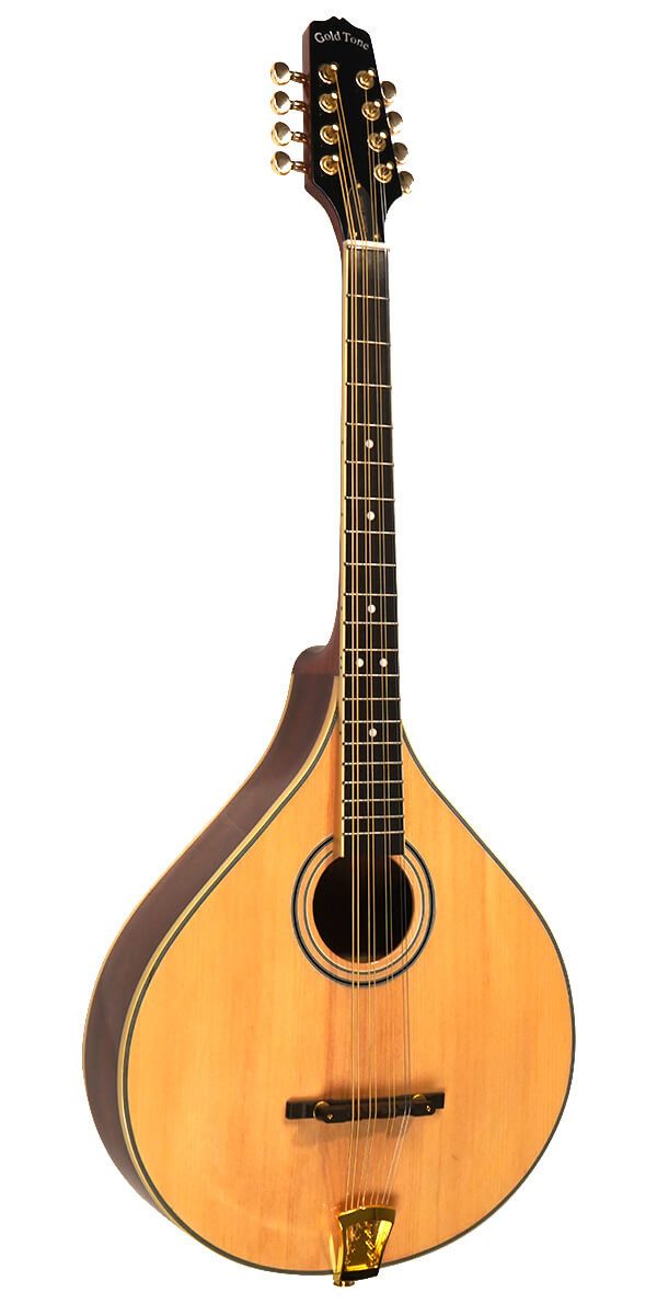 Mandoline Gold Tone OM-800+ Oktaven-Mandoline mit Case