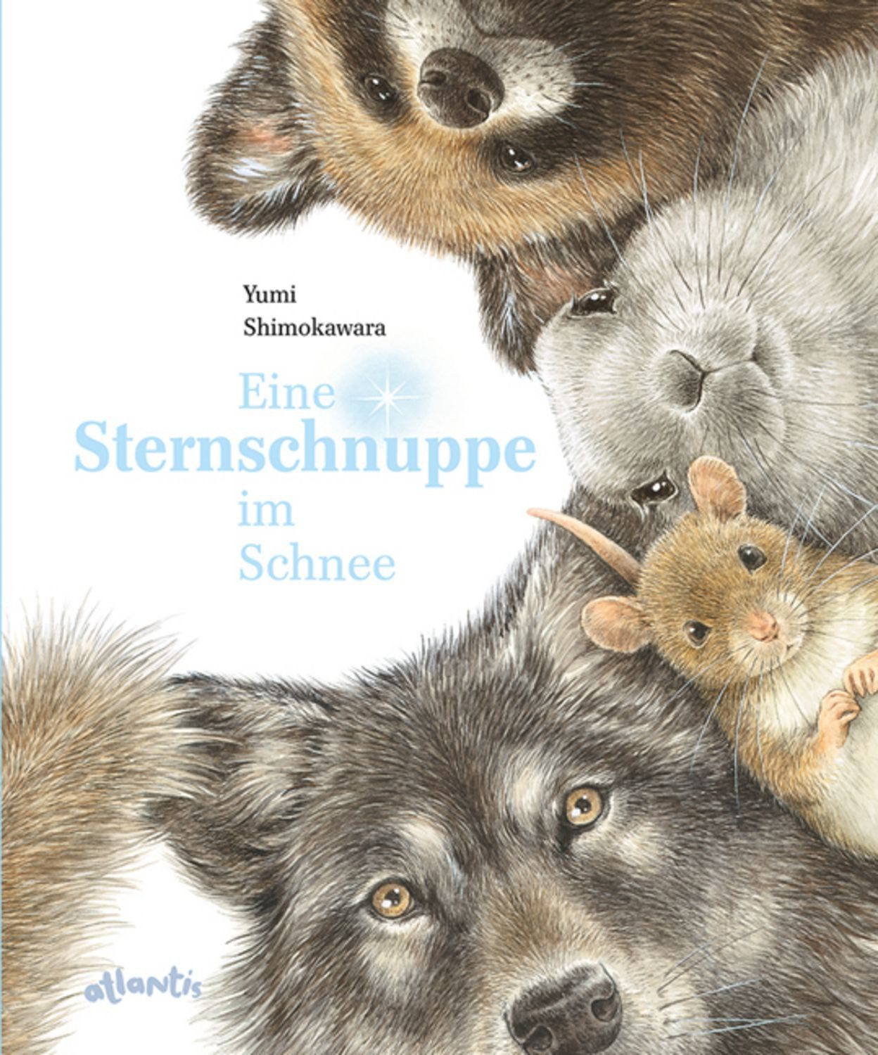 Eine Sternschnuppe im Schnee / Yumi Shimokawara