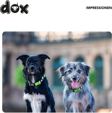 DDOXX Hunde-Halsband Hundehalsband Nylon, verstellbar, Hellblau L - 2,5 X 45-68 Cm Nylon
