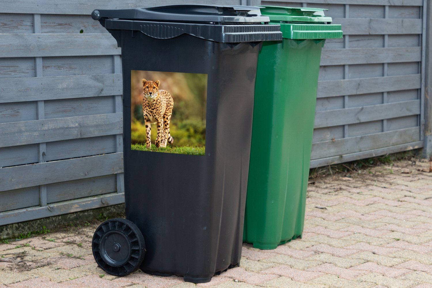 Leopard - Gras - Mülltonne, St), Container, (1 Wandsticker Natur MuchoWow Mülleimer-aufkleber, Wildtiere Sticker, - Abfalbehälter