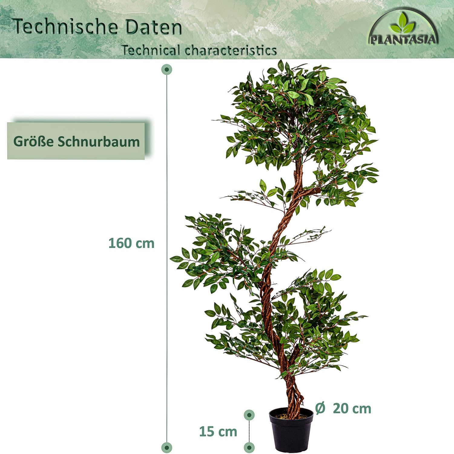 1764 160,00 PLANTASIA, Schnurbaum, Deko Blätter, Echtholzstamm Künstlicher Schnurbaum Kunstbaum Kunstpflanze cm, Sophora 160 Höhe cm,