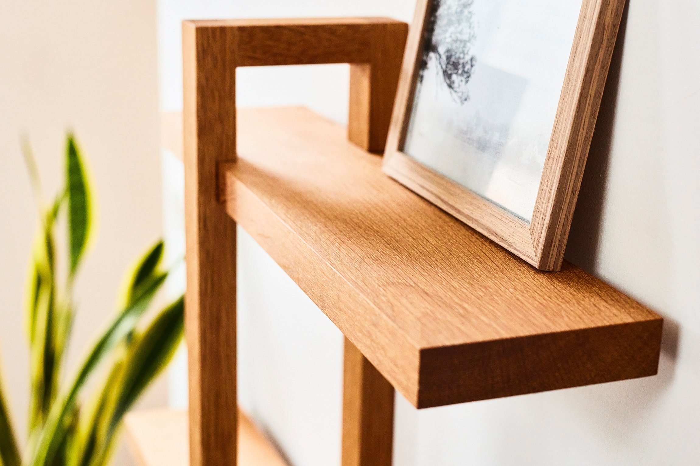 Living Oak Wandregal Eiche No.11