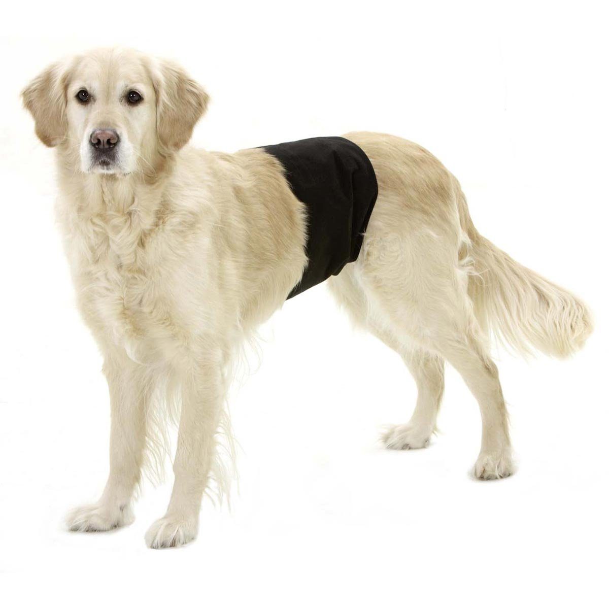 Karlie Hundewindel Gentleman Wraps, Schutzhose für Rüden - 74 x 23 cm