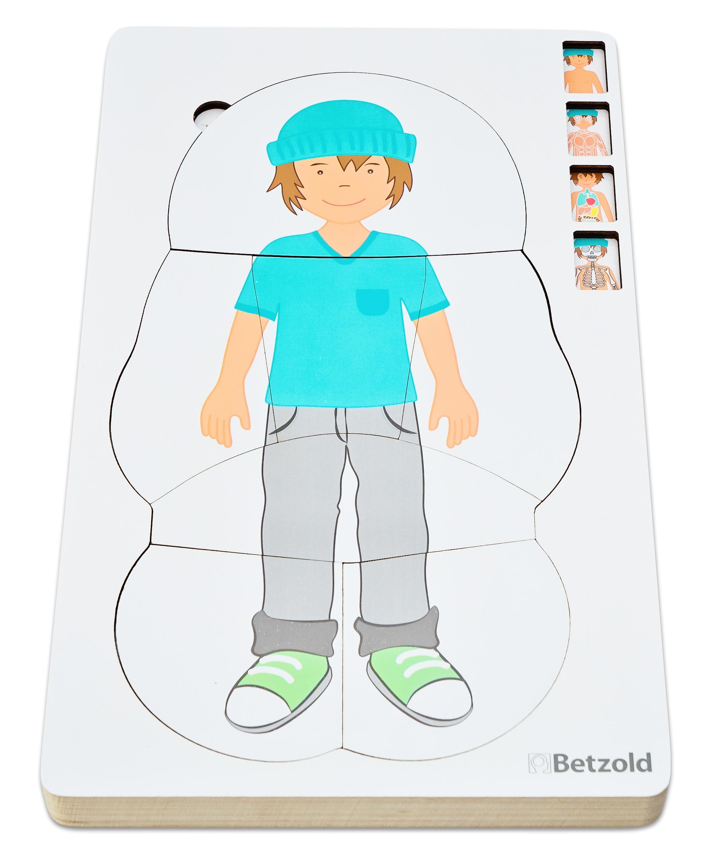 Betzold Puzzle Lagenpuzzle „Anatomie“, Puzzleteile