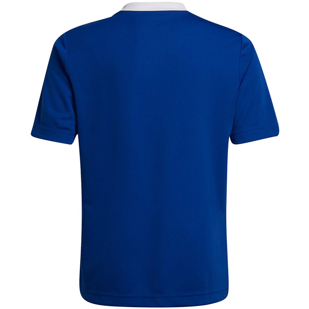 adidas Performance Funktionsshirt Entrada 22 – Bild 2 von 5