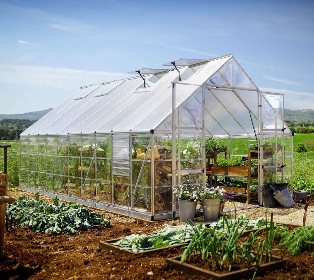 Palram - Canopia Gewächshaus, x 257  | ...