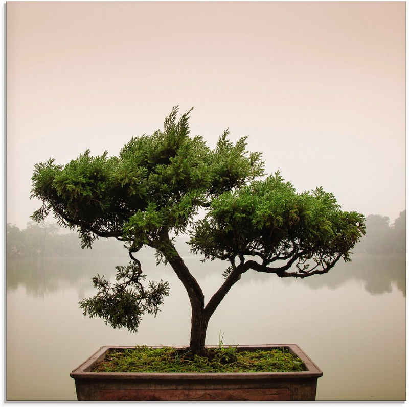 Artland Glasbild Chinesischer Bonsaibaum, Bäume (1 St), in verschiedenen Größen