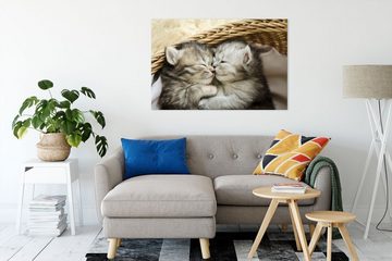 Pixxprint Leinwandbild Baby Katze, Baby Katze (1 St), Leinwandbild fertig bespannt, inkl. Zackenaufhänger