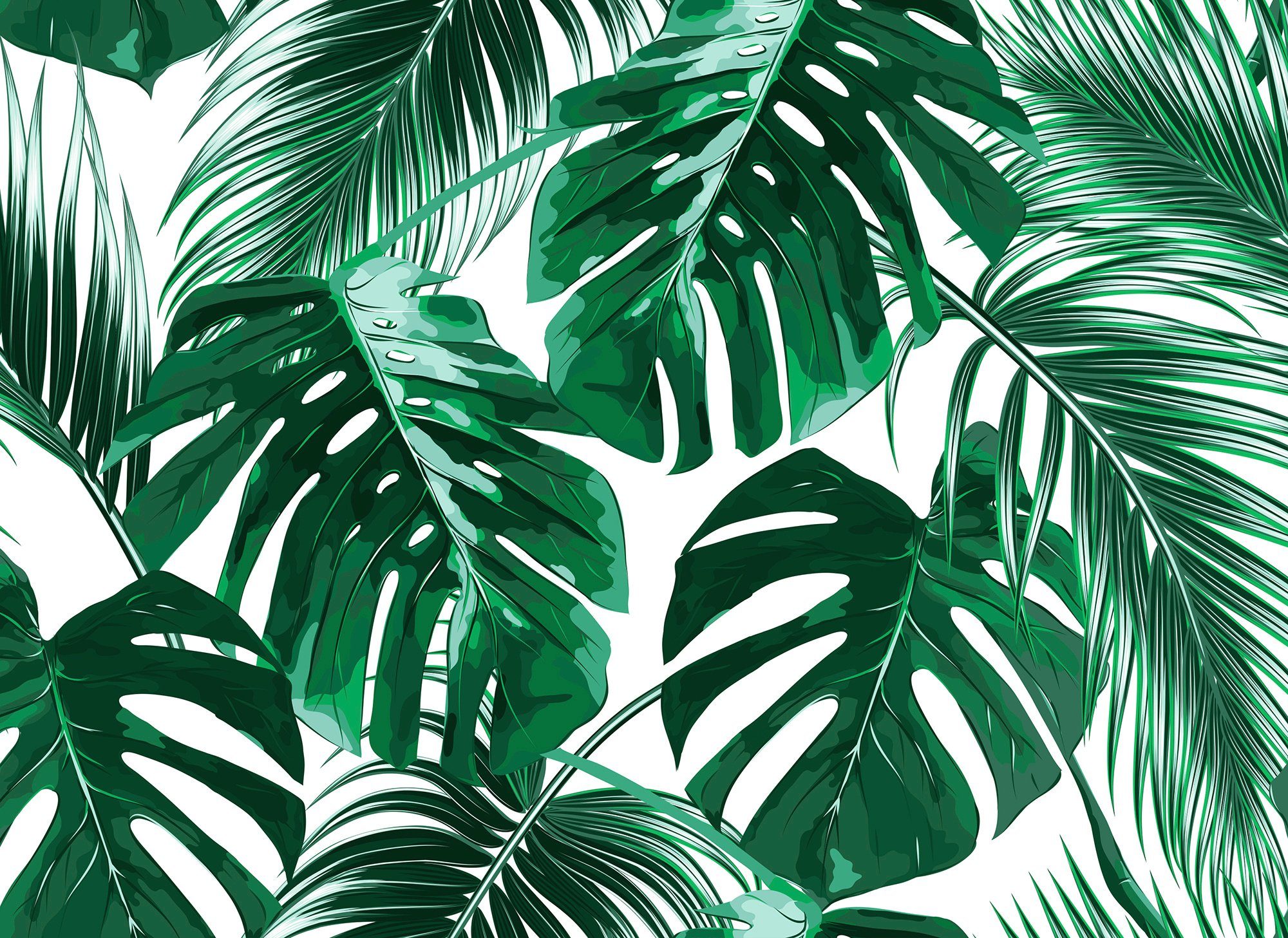 living walls Fototapete Designwalls Palm Leaves 1, glatt, (5 St), Vlies, Wand, Schräge, Decke. Reduzierter Preis € 104,09. Unverbindliche Preisempfehlung € 172,95