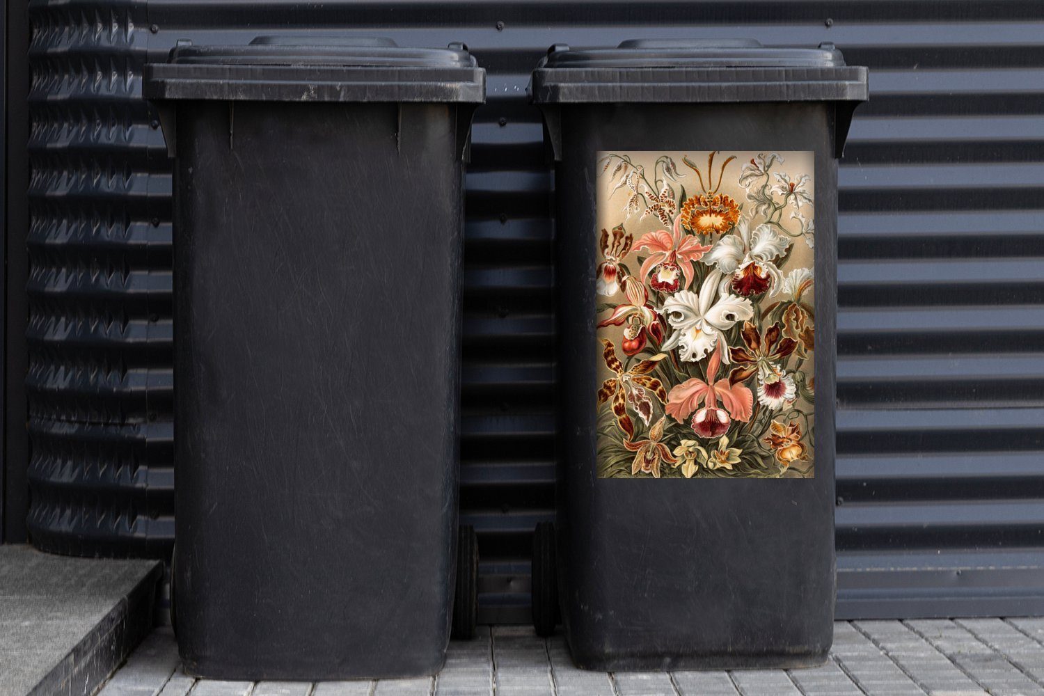 Wandsticker Mülltonne, St), Sticker, - Ernst Haeckel (1 Container, MuchoWow Abfalbehälter Mülleimer-aufkleber, Orchidee