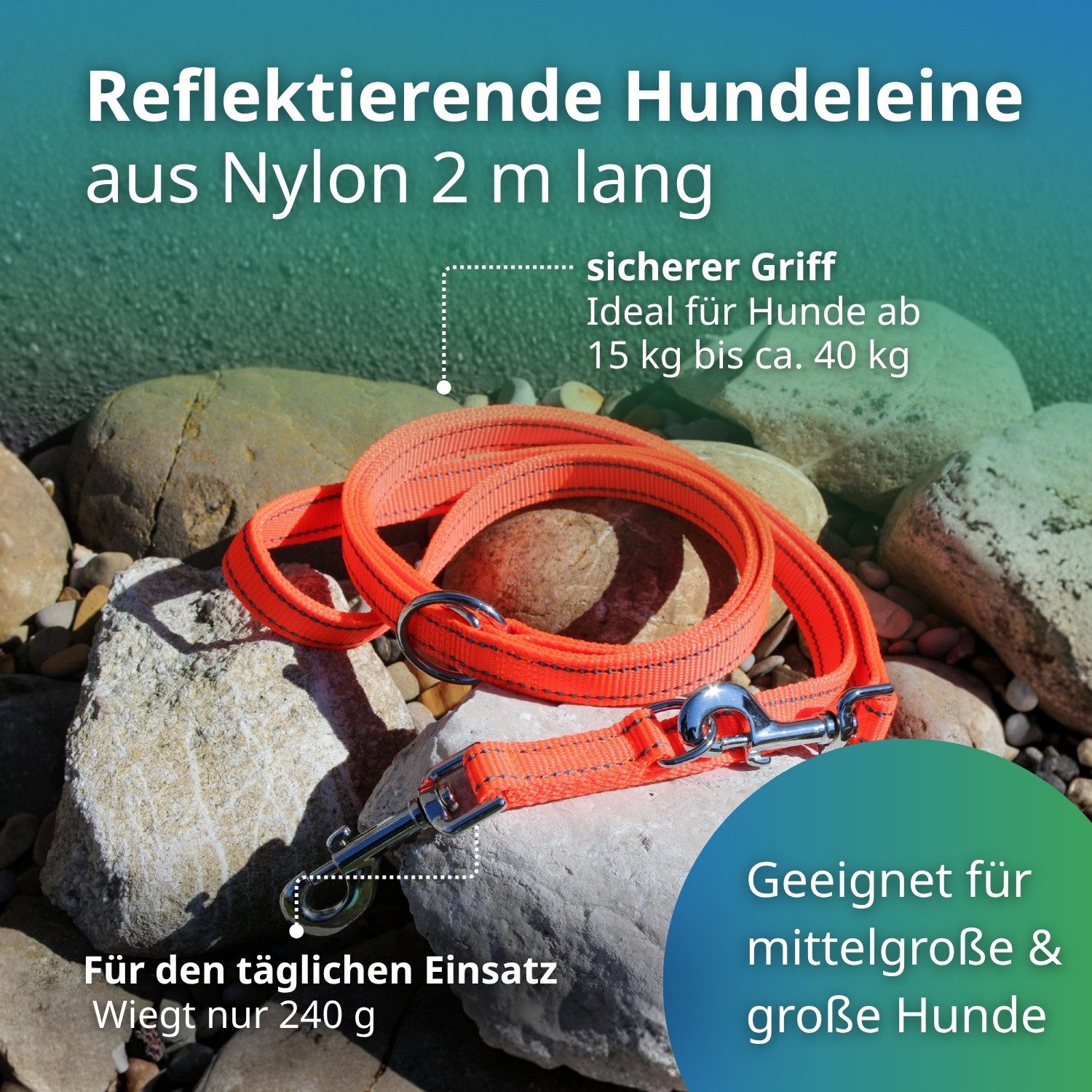 Activity4Dogs Hundeleine große Hunde, reflektierend, orange, 2 m, 3-fach verstellbar, über 4 mm dick, ohne Elektronik, made in Germany
