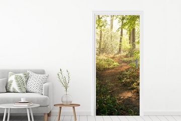 MuchoWow Türtapete Wald - Bäume - Weg - Sonne - Pflanzen - Laub - Natur, Matt, bedruckt, (1 St), Fototapete für Tür, Türaufkleber, 75x205 cm