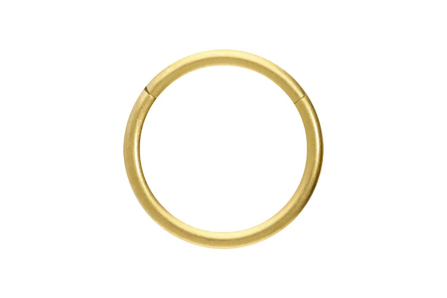 PIERCINGLINE Nasenpiercing Titan Segmentring Clicker MATT Ohrpiercing Septu günstig online kaufen