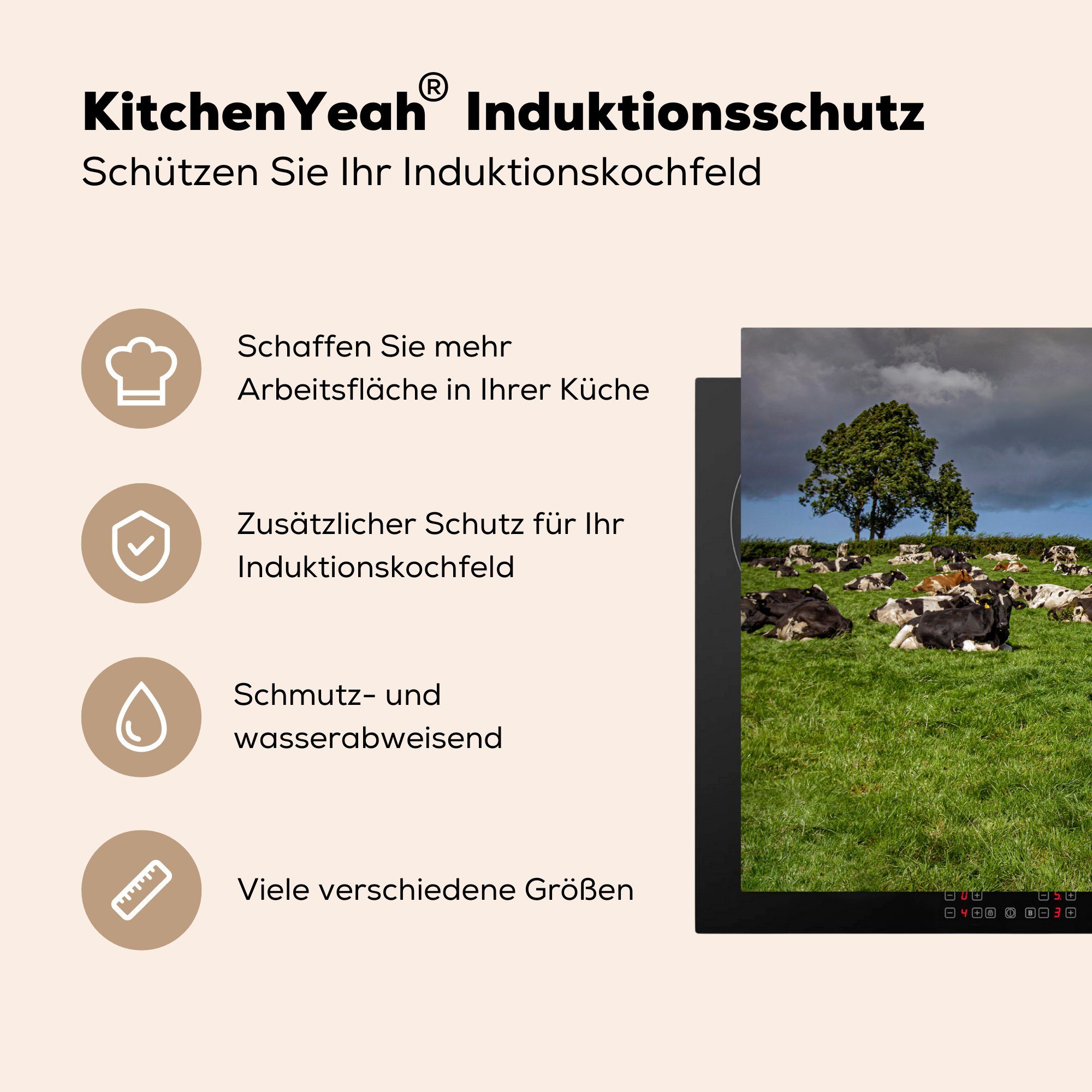 - 81x52 Induktionskochfeld Kühe für Friesisch, Ceranfeldabdeckung Herdblende-/Abdeckplatte MuchoWow küche, Vinyl, - tlg), (1 die Schutz Tiere cm,