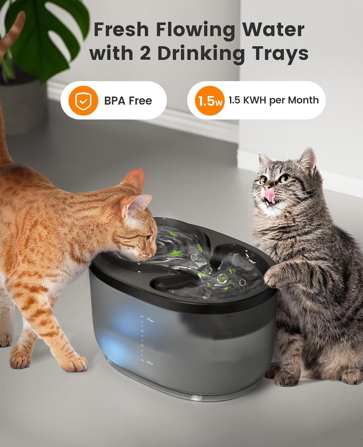 Coonoor Trinkbrunnen Ultraleiser Katzenbrunnen 2,3L BPA-frei günstig online kaufen