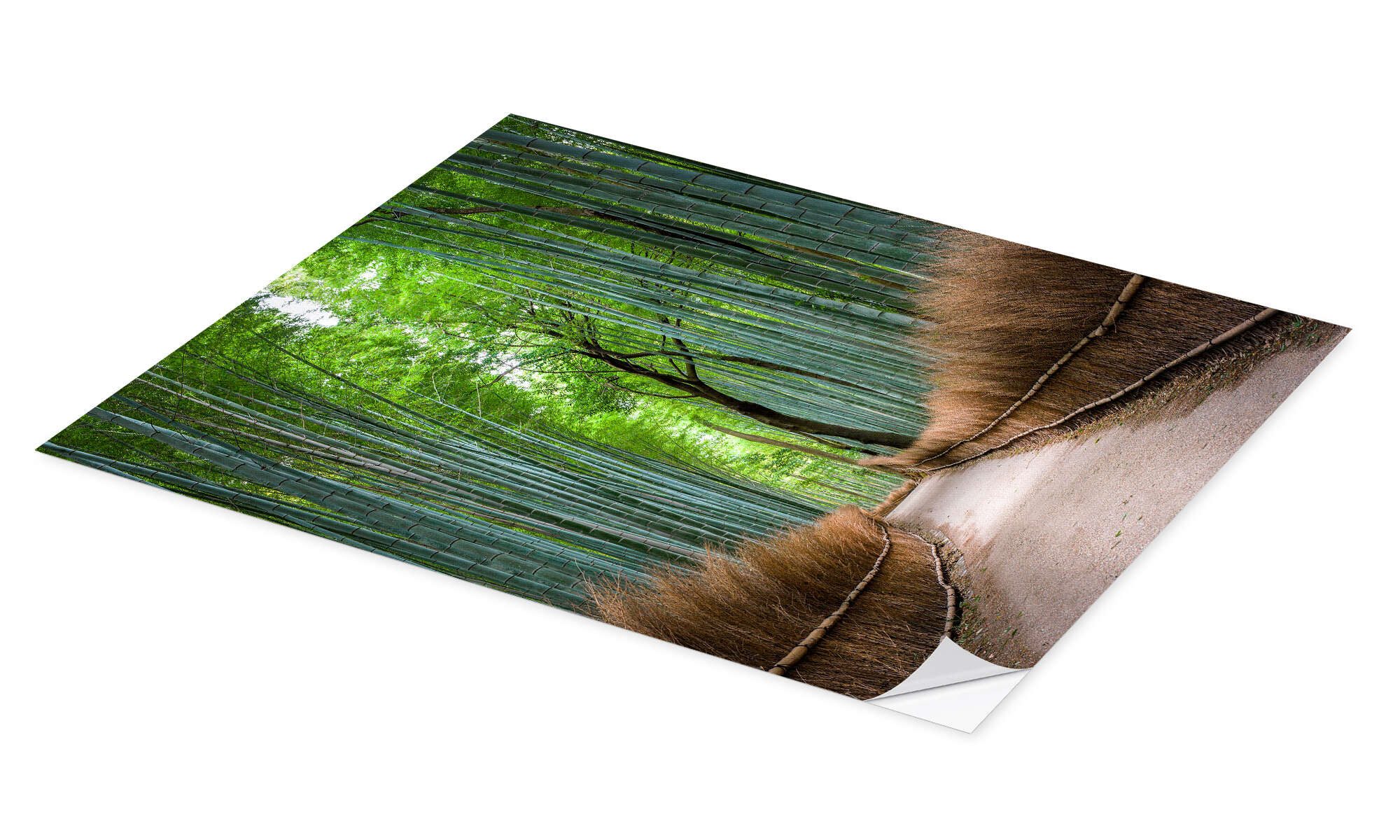 Posterlounge Wandbild Bambuswald in Kyoto Sagano Arashiyama, Japan, Jan Christopher Becke, erhältlich als Poster, Leinwandbild, Wandsticker oder Acrylglasbild