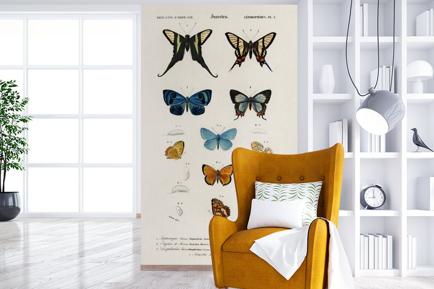 St), Kinderzimmer, (3 für Schlafzimmer, Schmetterling Wallpaper - Wohnzimmer, Insekten, - Fototapete Vinyl Vintage bedruckt, MuchoWow Matt, Tapete