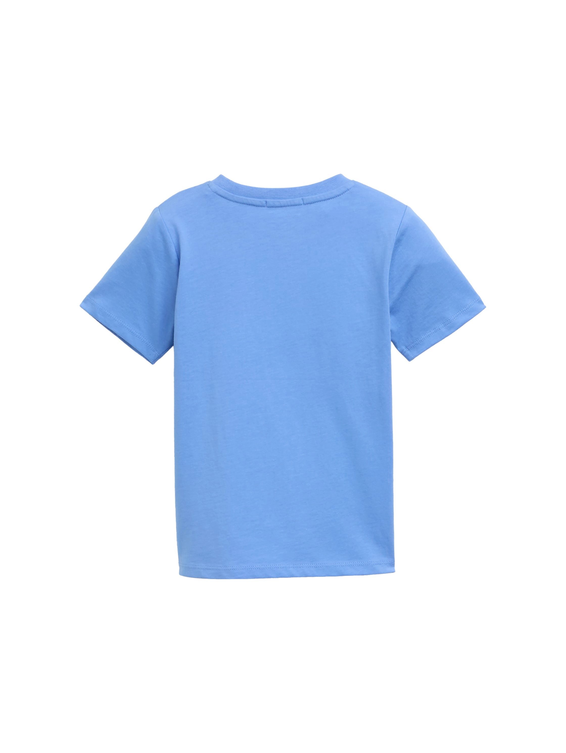 TOM TAILOR T-Shirt mit in der Nacht leuchtendem Dino-Print