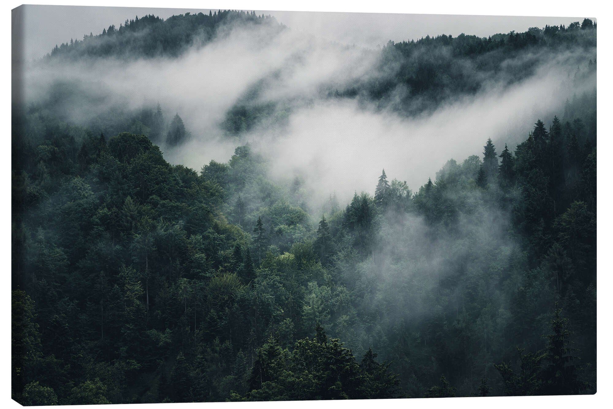 Posterlounge Wandbild Mystische Wälder im Nebel, Oliver Henze, erhältlich als Poster, Leinwandbild, Wandsticker oder Acrylglasbild