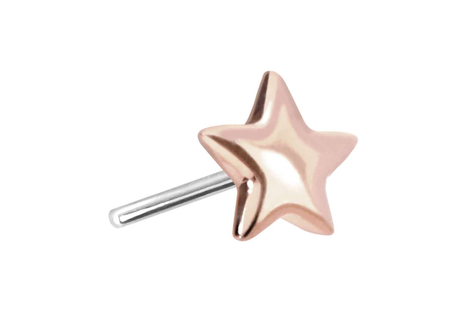 Piercing-Set 14 Karat Gold Aufsatz mit Titan Push Pin STERN