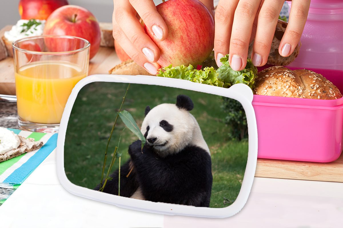rosa Blätter, Snackbox, Mädchen, Lunchbox Kunststoff, Erwachsene, Brotdose für MuchoWow Pandabär Brotbox Kunststoff Tiere (2-tlg), - Kinder, Wilde -