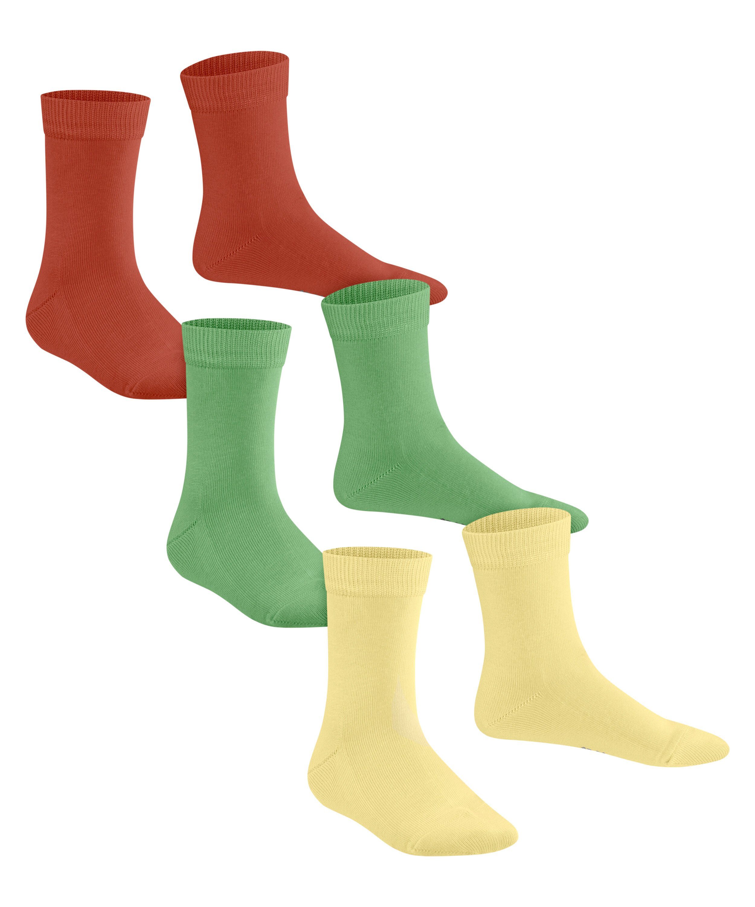 Mixed (3-Paar) FALKE Socken 3-Pack Family (0040) sortiment