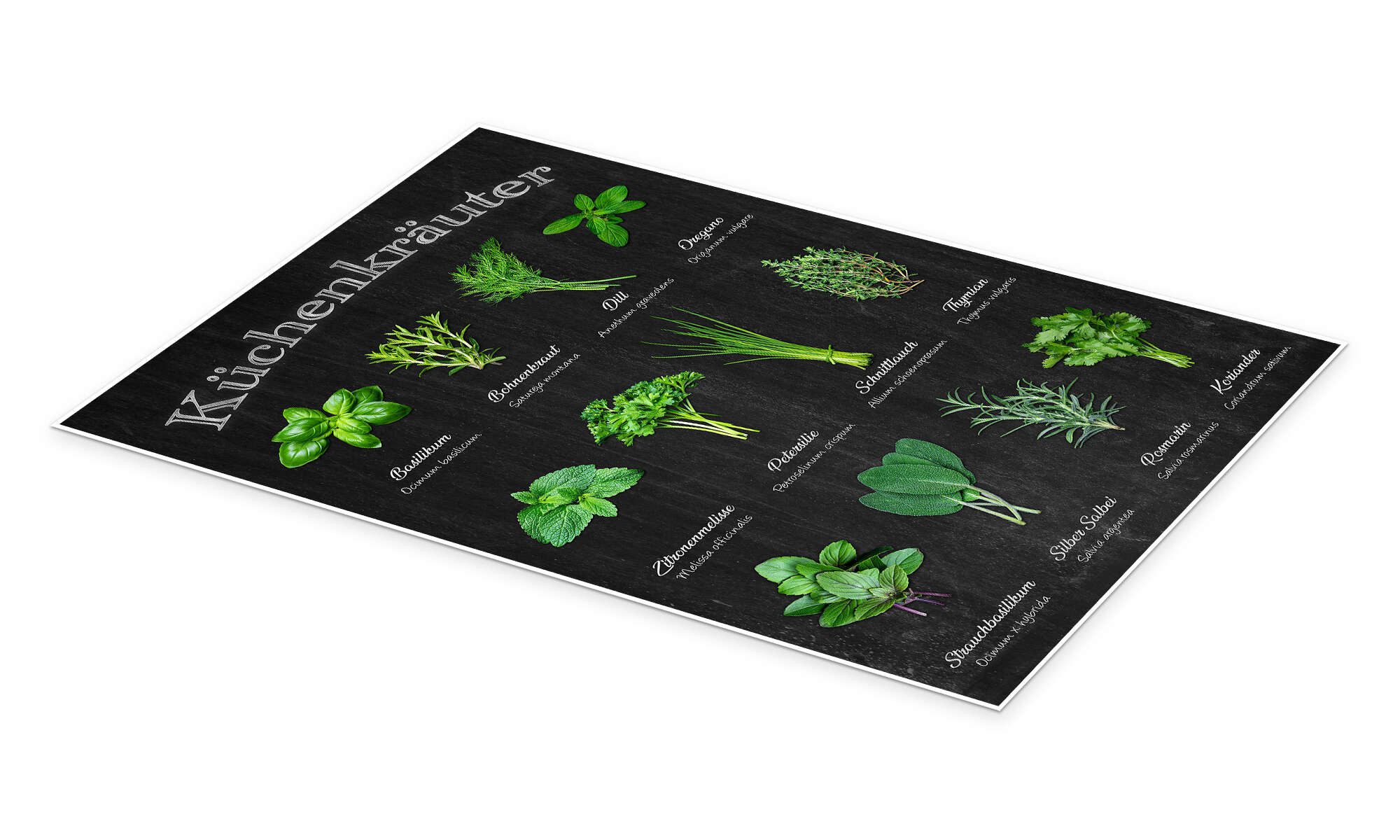 Posterlounge Wandbild Küchenkräuter, Thomas Klee, erhältlich als Poster, Leinwandbild, Wandsticker oder Acrylglasbild