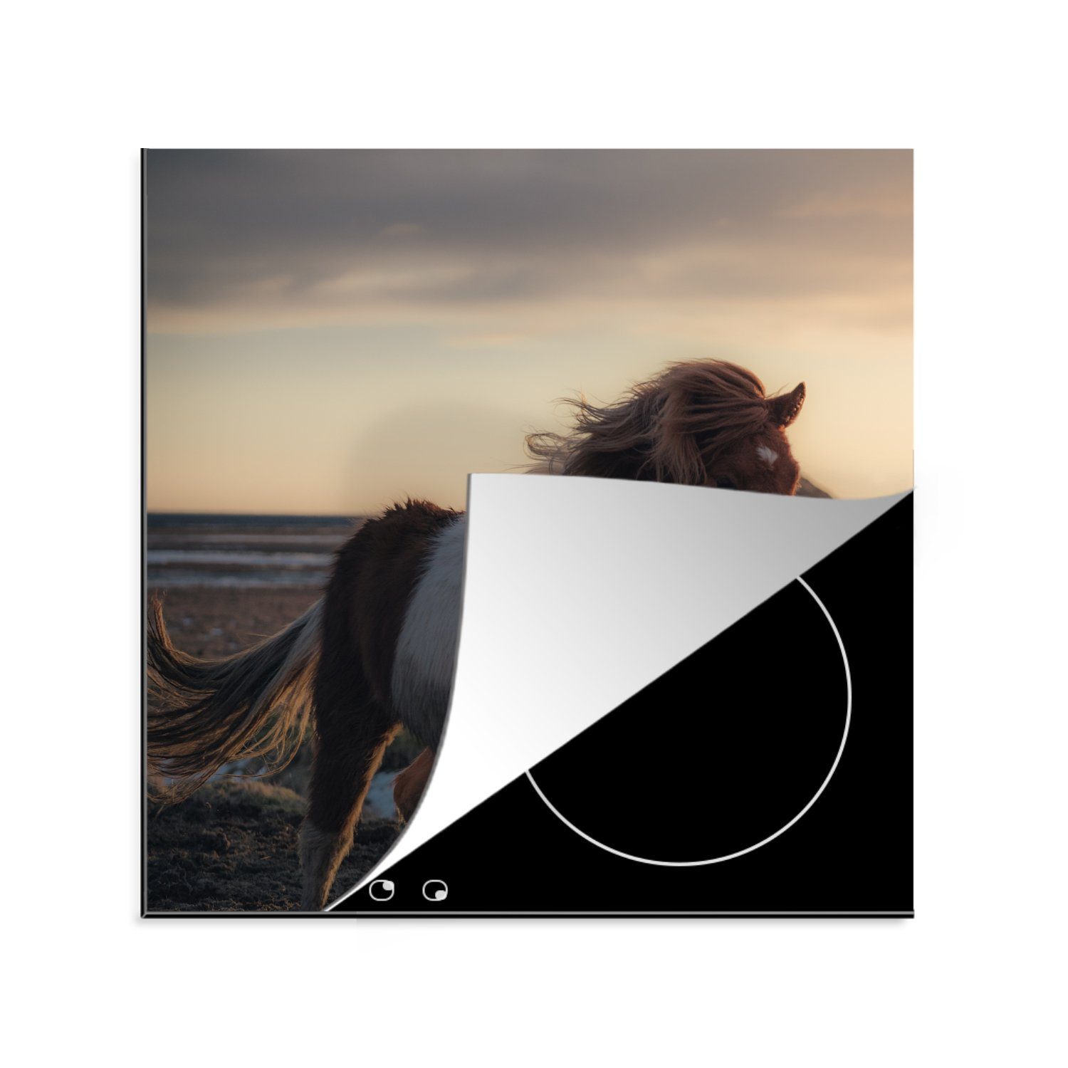 MuchoWow Herdblende-/Abdeckplatte Pferd - Fell - Sonne, Vinyl, (1 tlg), 78x78 cm, Ceranfeldabdeckung, Arbeitsplatte für küche