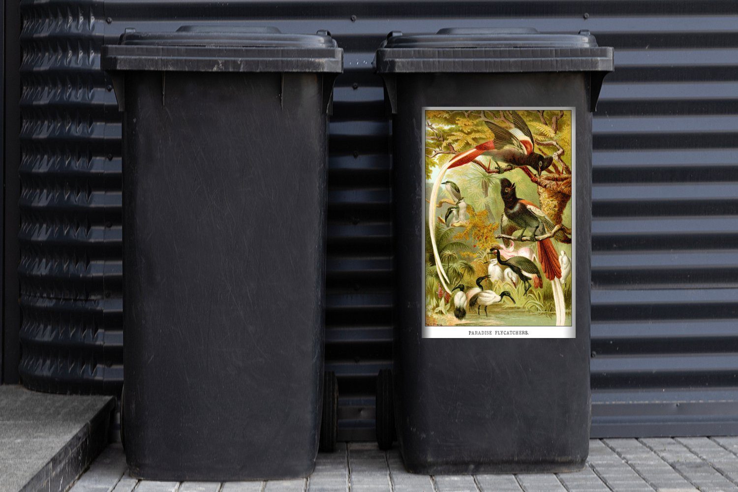 MuchoWow Wandsticker Antiker Mülleimer-aufkleber, Abfalbehälter Sticker, St), Fliegenschnäpper (1 Container, Vogeldruck Mülltonne