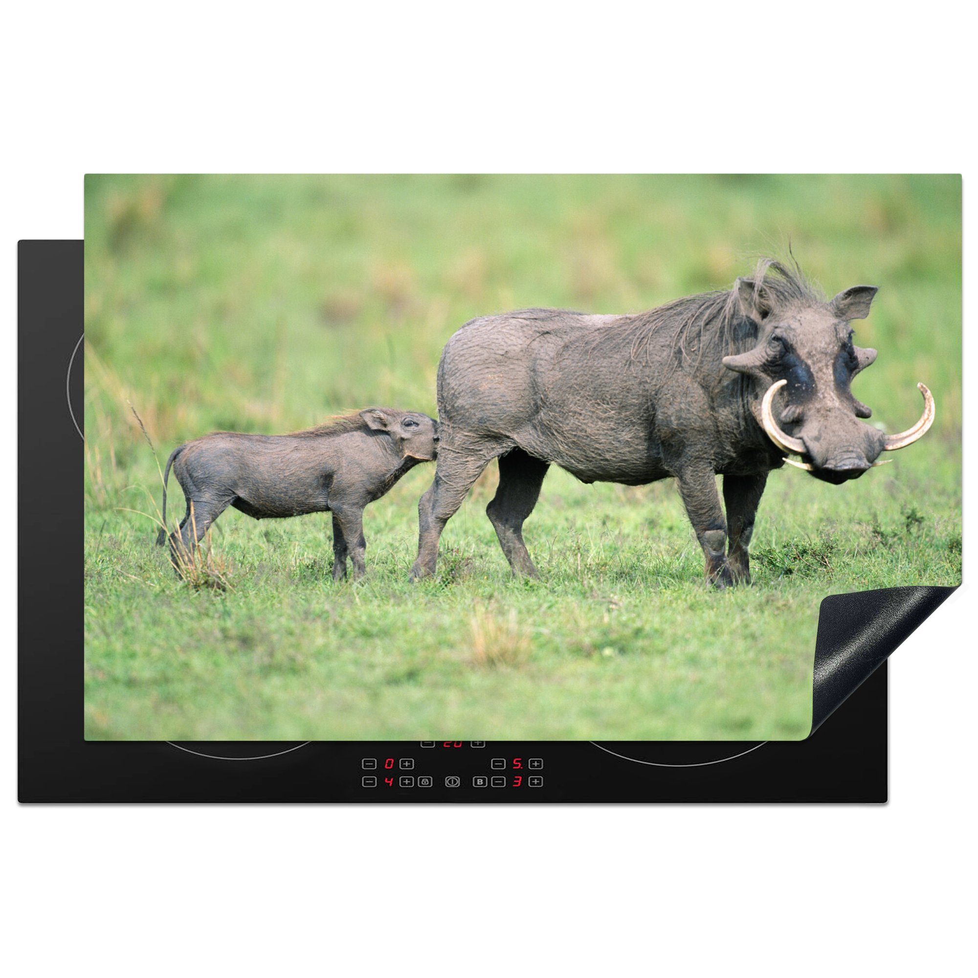 MuchoWow Herdblende-/Abdeckplatte Wild - tlg), für (1 81x52 cm, Schutz Ceranfeldabdeckung Schwein die Afrika, küche, Vinyl, - Induktionskochfeld