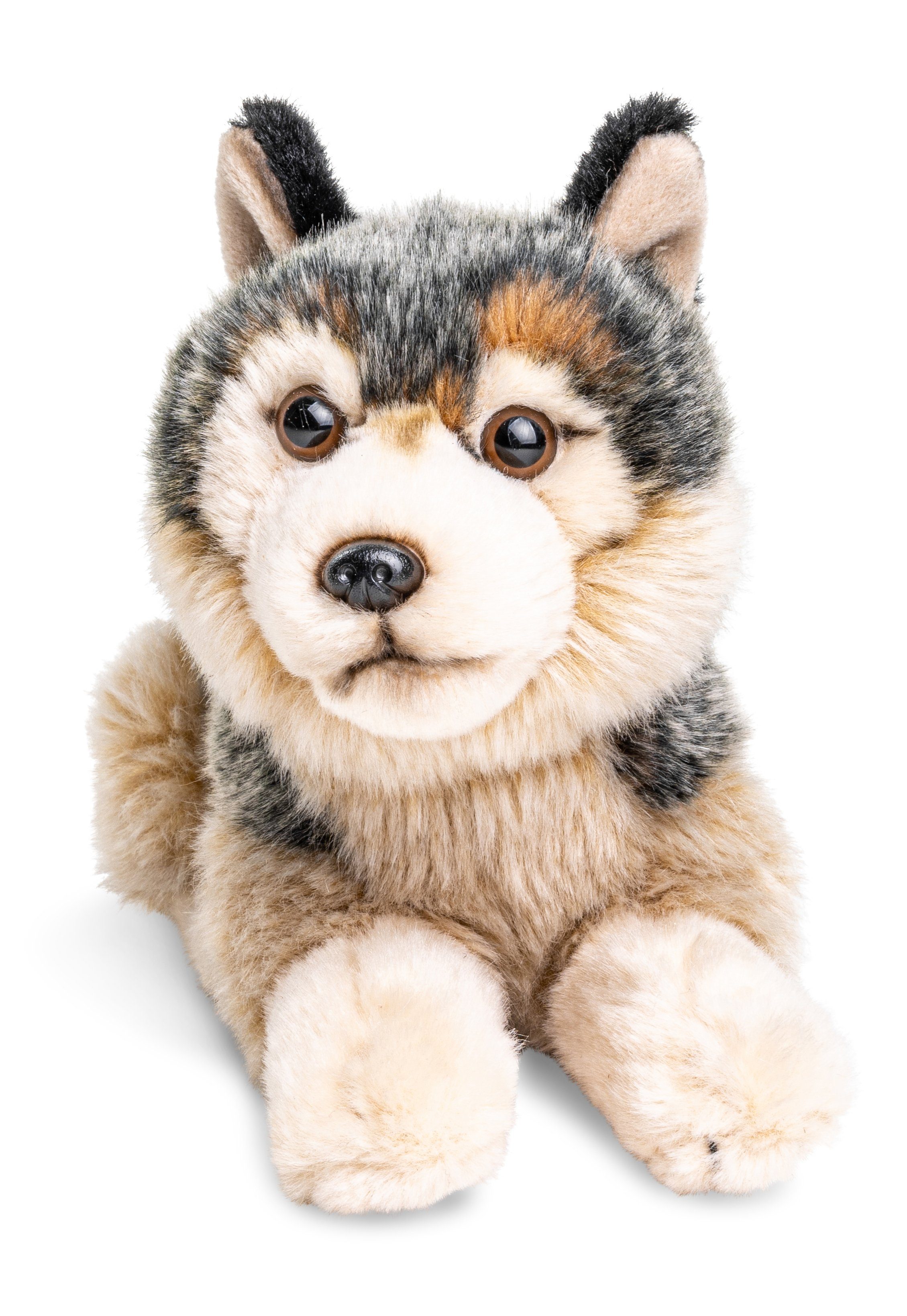 Uni-Toys Kuscheltier Grauwolf Junges, liegend - 22 cm (Länge) - Plüsch-Wolf - Plüschtier, zu 100 % recyceltes Füllmaterial | Kuscheltiere