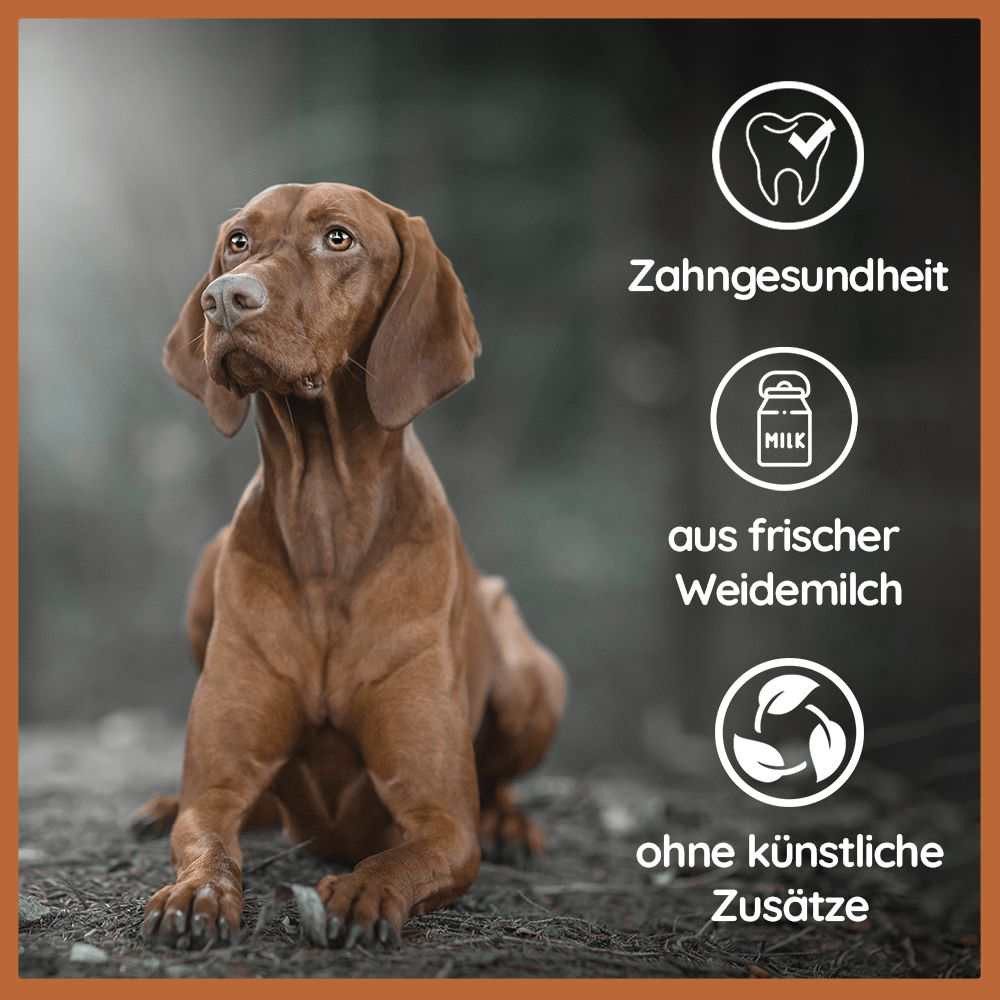 Wildfang Kauspielzeug Kaukäse - Hartkäse Kaustab