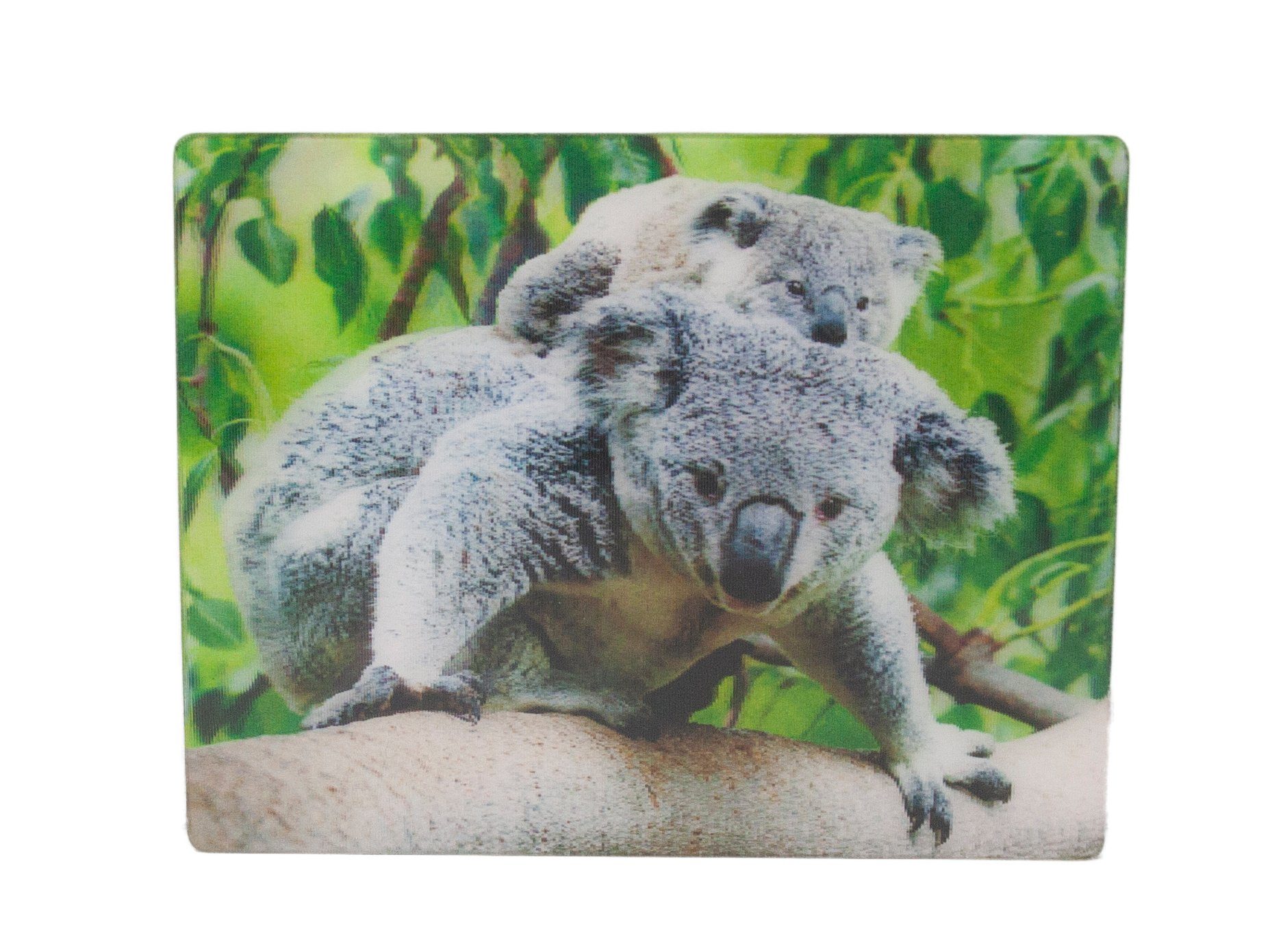 Cornelißen 3D Koalas