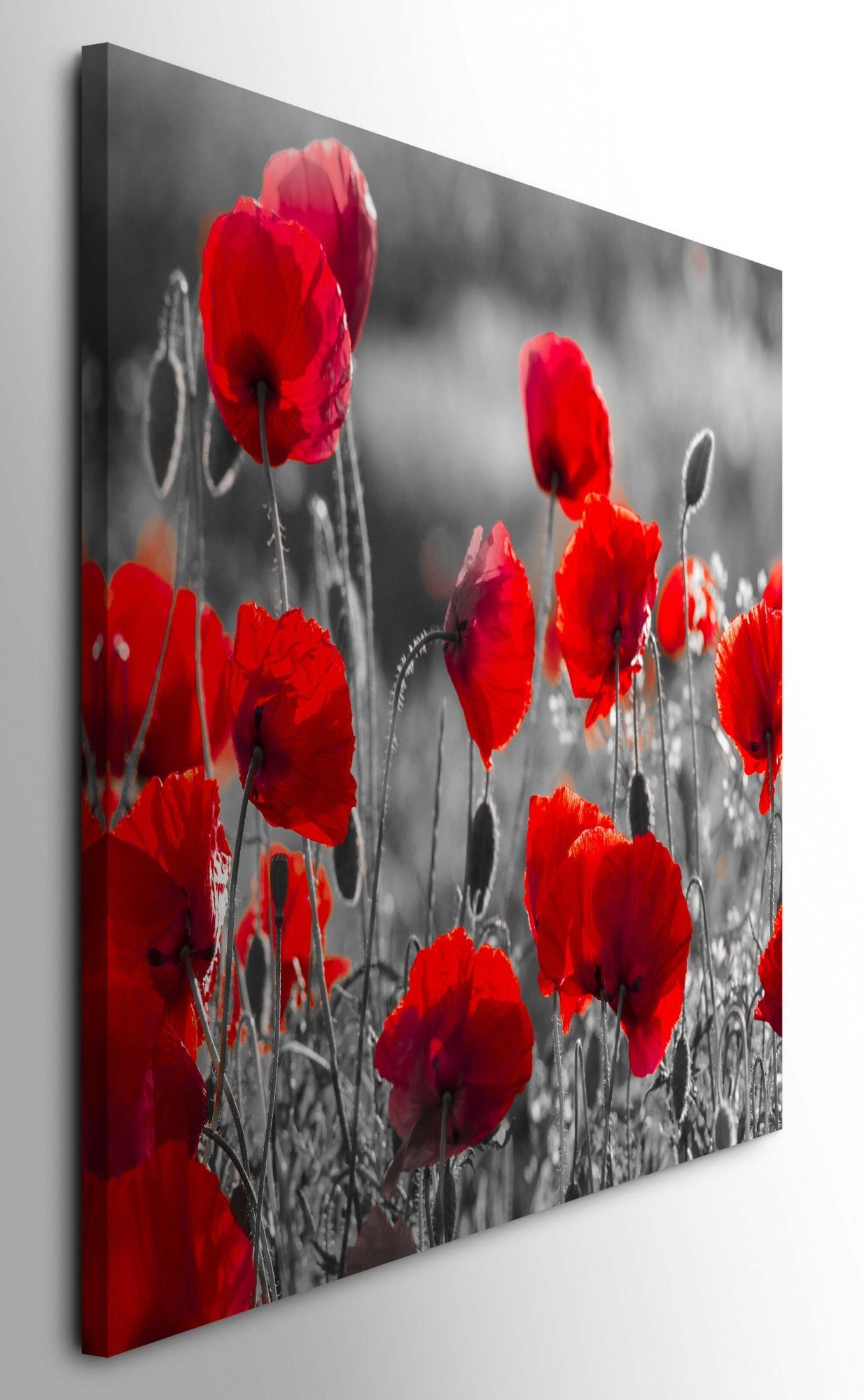 möbel-direkt.de Leinwandbild Bilder XXL Mohnblumen in günstig online kaufen
