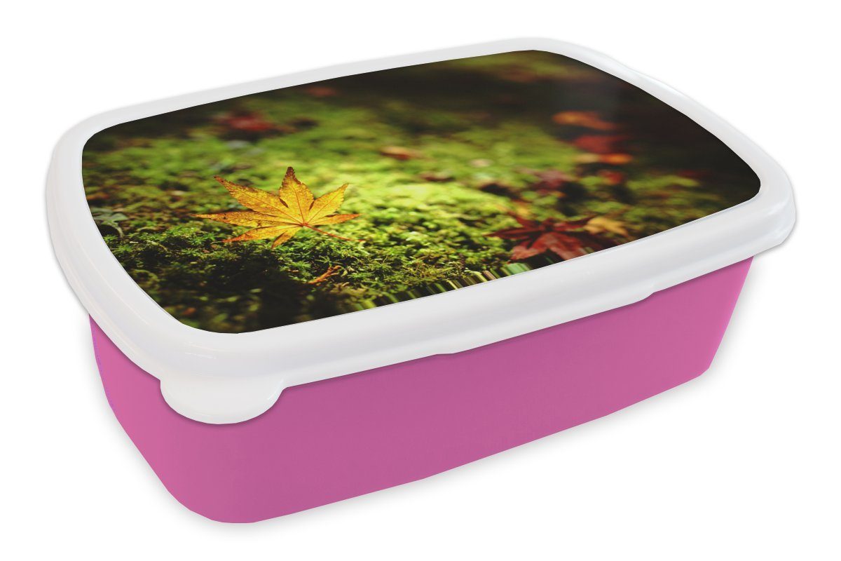 MuchoWow Lunchbox Herbst - Laub - Moos, Kunststoff, (2-tlg), Brotbox für Erwachsene, Brotdose Kinder, Snackbox, Mädchen, Kunststoff rosa