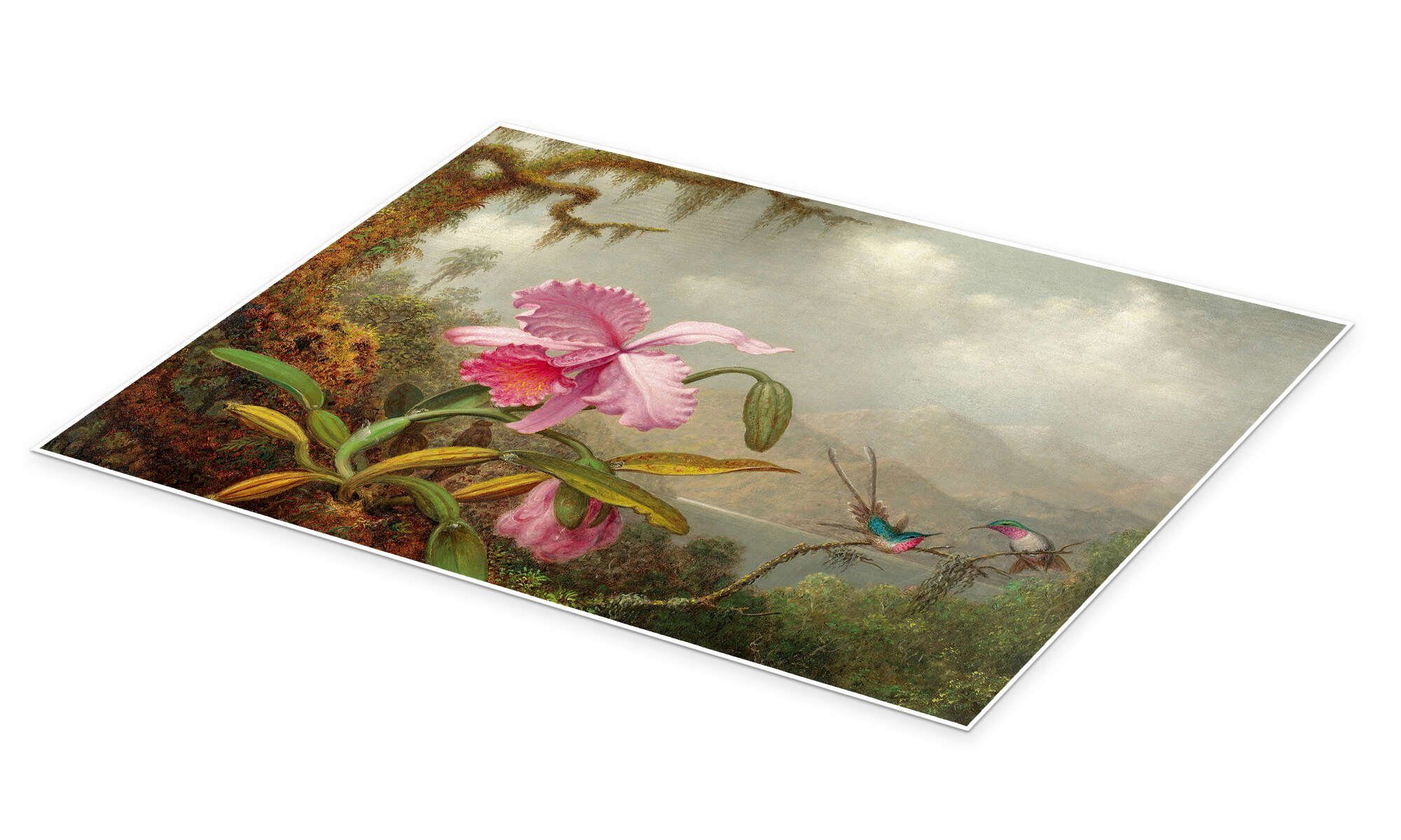 Posterlounge Wandbild Cattleya Orchidee und drei brasilianische Kolibris, Martin Johnson Heade, erhältlich als Poster, Leinwandbild, Wandsticker oder Acrylglasbild