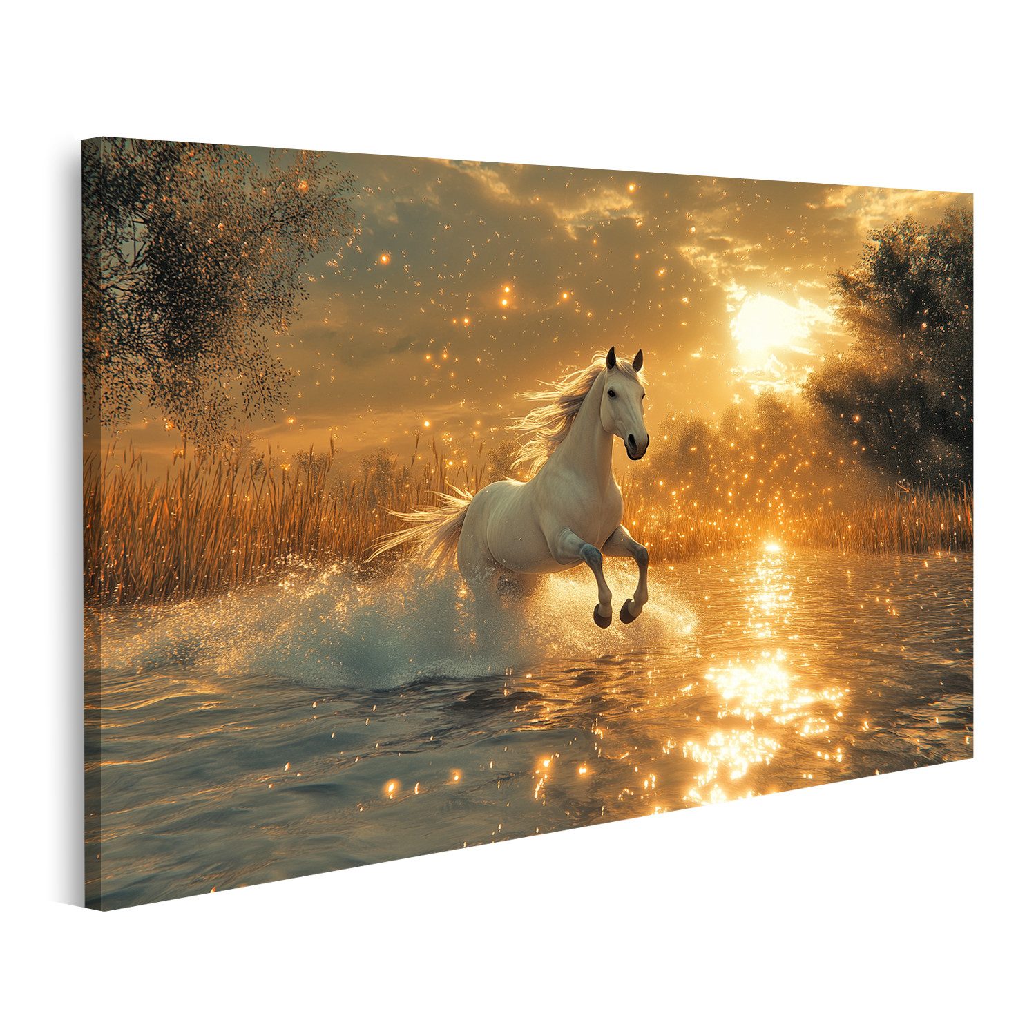 Leinwandbild Weißes Pferd im sonnigen Wasserlauf