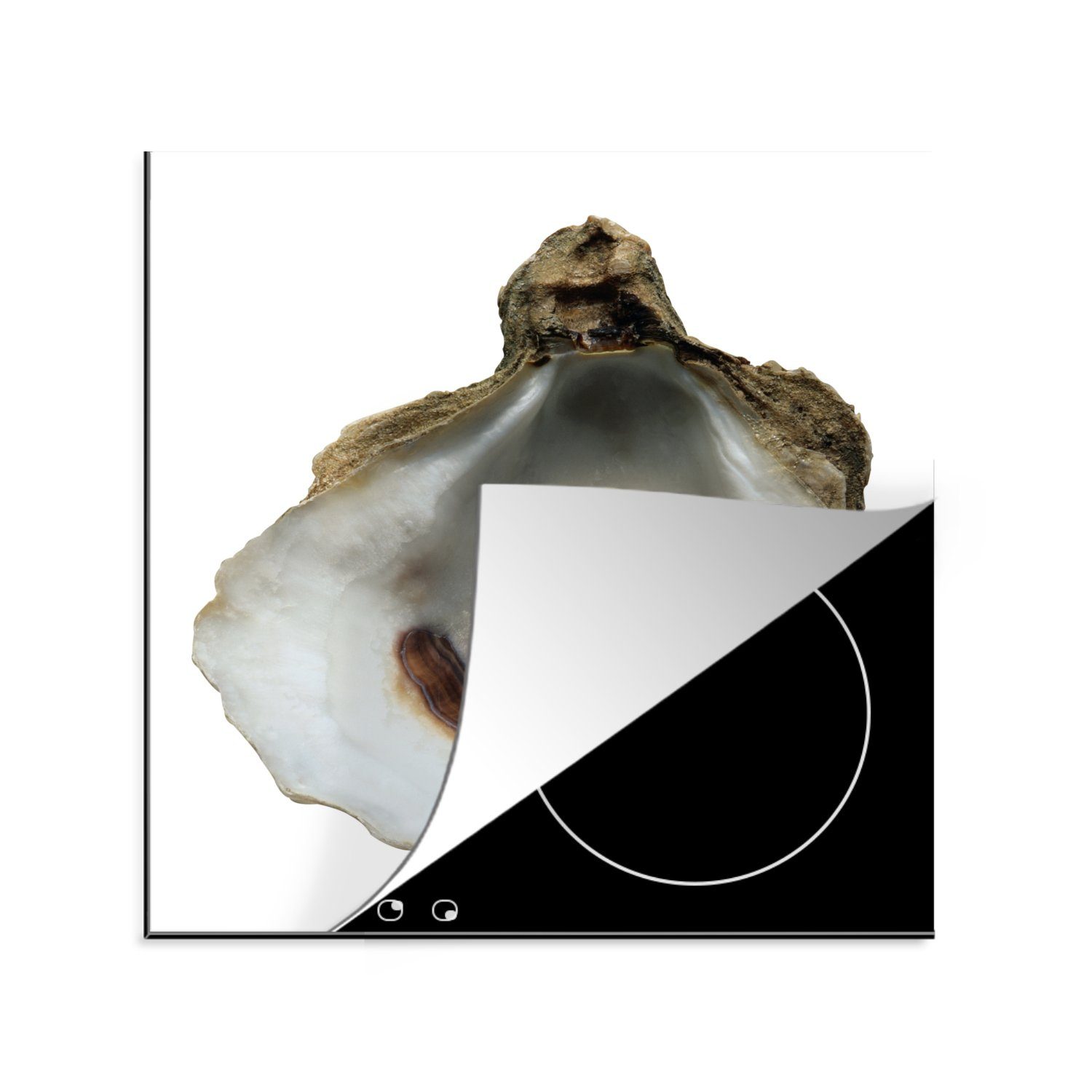 MuchoWow Herdblende-/Abdeckplatte Eine Perle in einer Auster, Vinyl, (1 tlg), 78x78 cm, Ceranfeldabdeckung, Arbeitsplatte für küche
