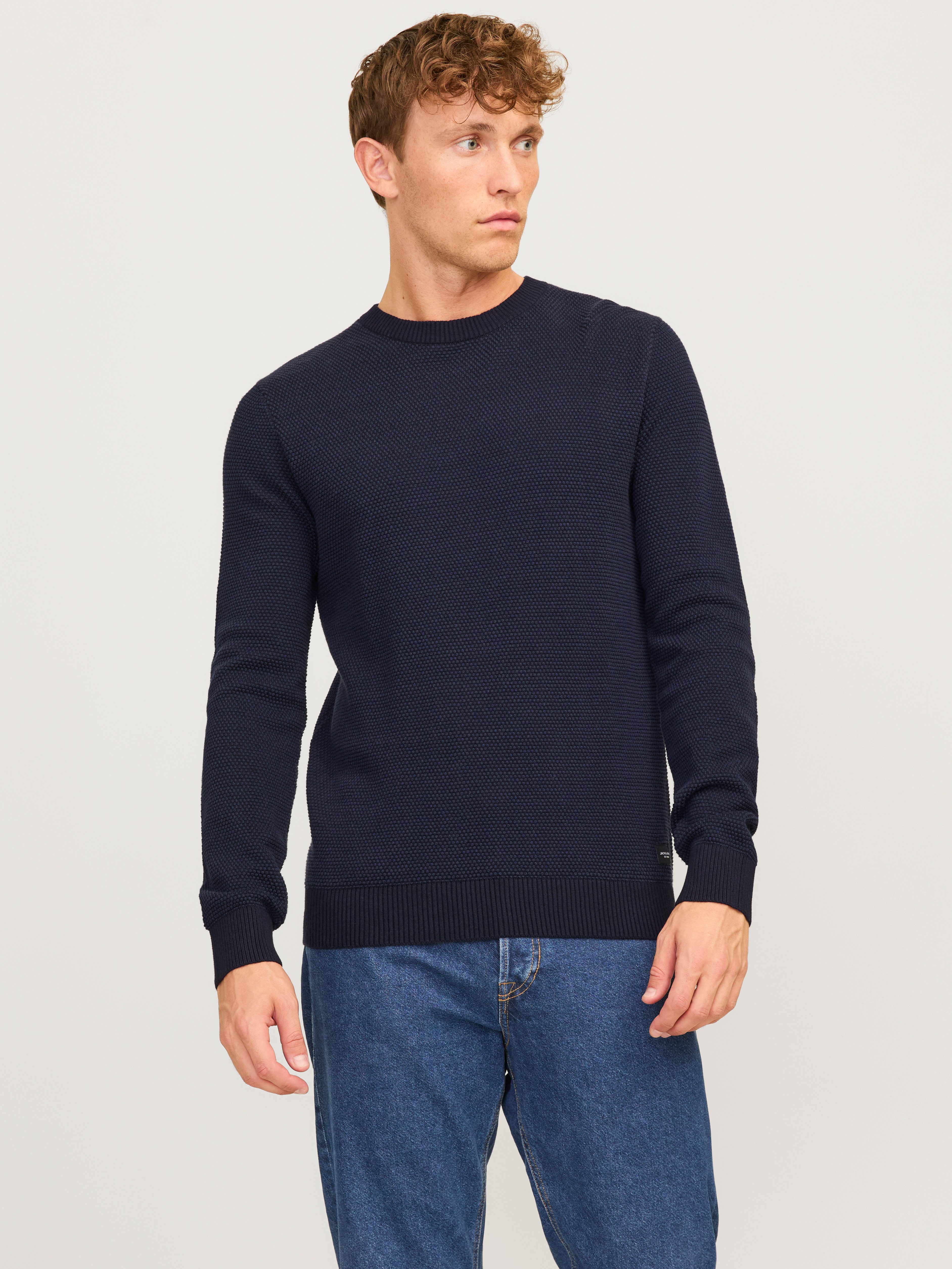 Rundhalspullover JJEGLOBE KNIT CREW NECK NOOS